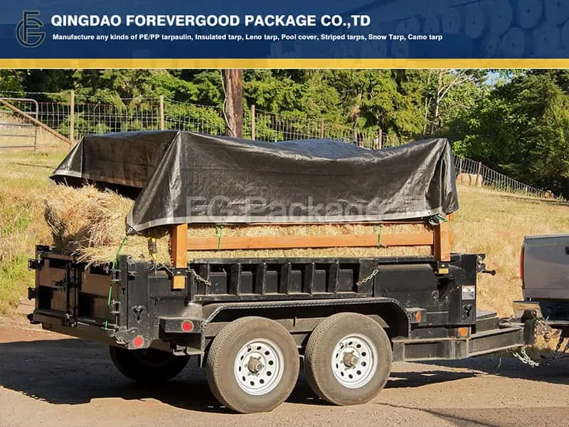 Сельское хозяйство используется PE брезент крышка